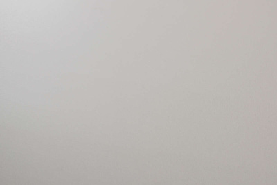 Шиншила серая 0197_SU