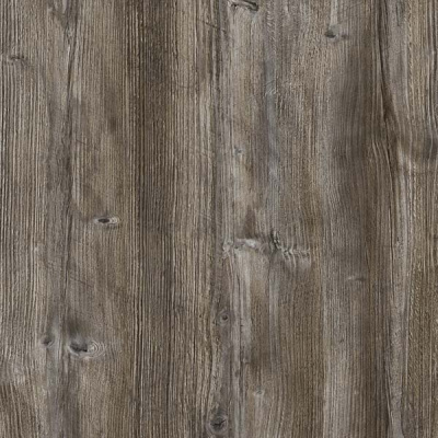 сосна джексон