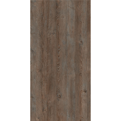 сосна санторини