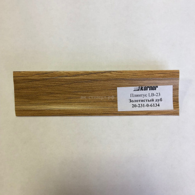 LB23_6134 Дуб Золотистый