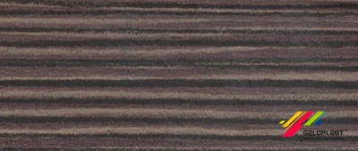 0101 0101