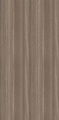 дуб солсбери дуб солсбери