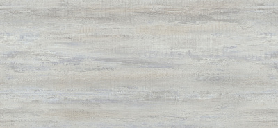 3853_S_Дуб Северный