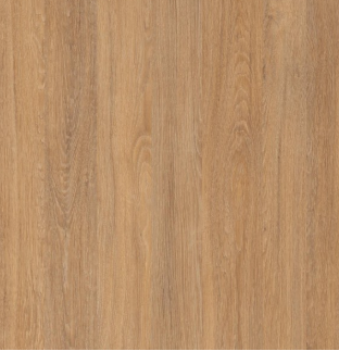 дуб сантана