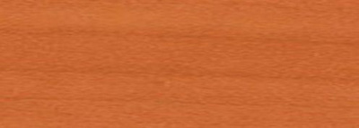 Вишня Оксфорд 1 Вишня Оксфорд 1