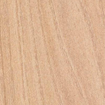 Вяз Салерно Светлый