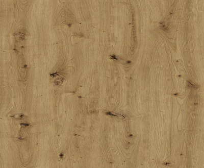 Дуб Онтарио