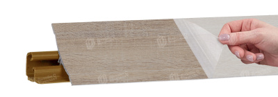 LB23 RUS_85 Дуб Канадский