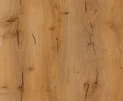 Дуб Риверсайд