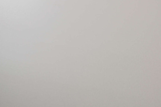 Шиншила серая 0197_SU