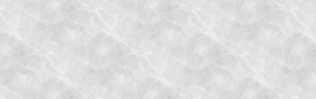 8132_Pt