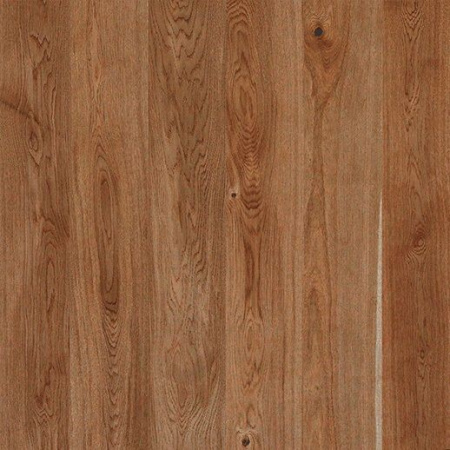 кедр орегон