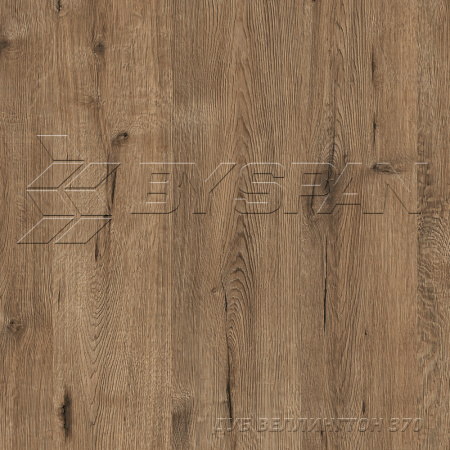 дуб веллингтон