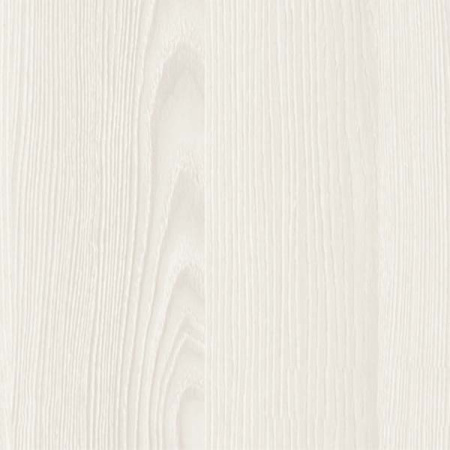 Ясень Снежный