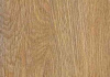3259_7 Дуб Французский