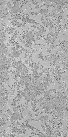 hasp_chrome_new_900x0_fdd