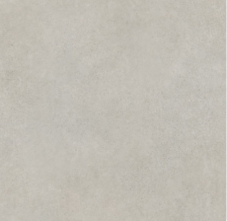 сегни светлый