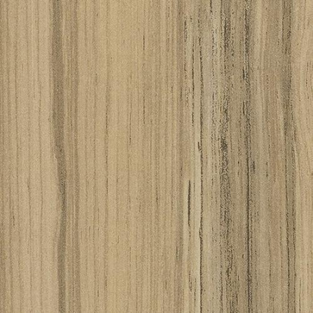 Коко Бола 8995