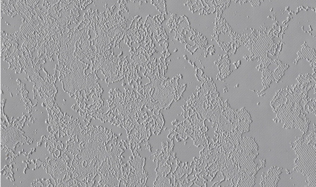 22 хасп хром