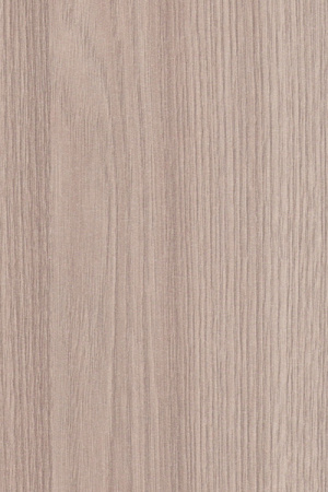 Ясень_Шимо_Светлый