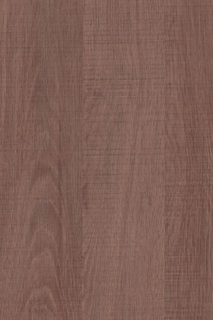 Дуб_Сантана_Сокат