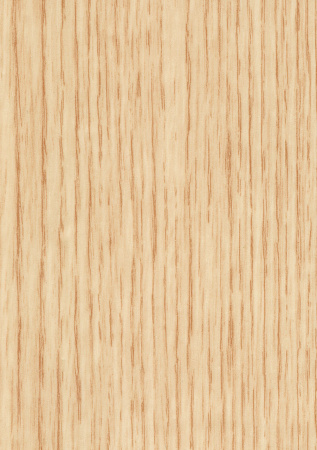 Дуб Беленый 2d 020