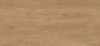 3259_7 Дуб Французский