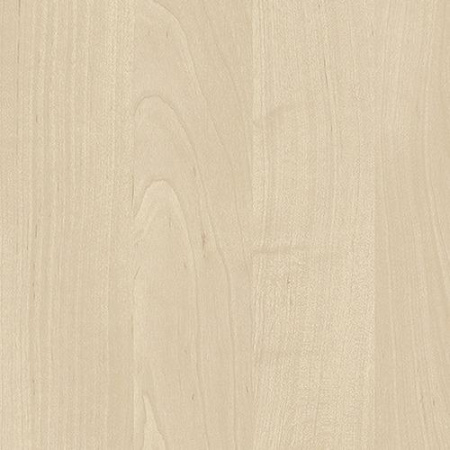 Берёза Снежная 1715